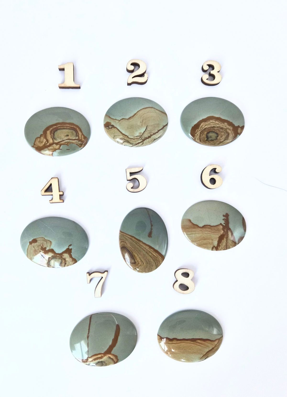Wild Horse Jasper - Medium Picture Cabochons