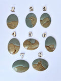 Wild Horse Jasper - Large Picture Cabochons