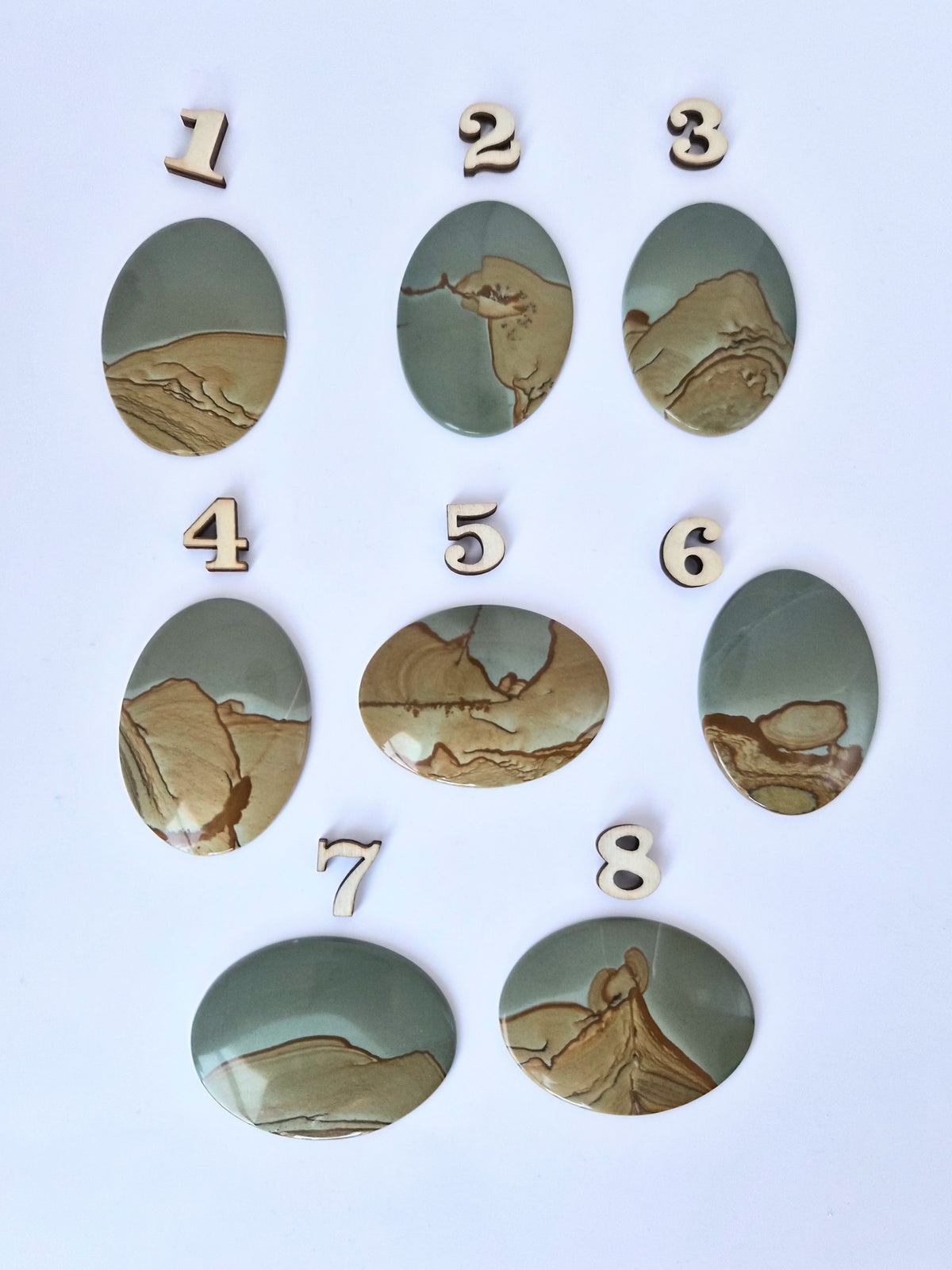 Wild Horse Jasper - Large Picture Cabochons