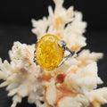 Vintage Baltic Amber Silver Ring (size 7)
